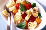 Turkish Cheese And Tomato Pasta Recipe Appetizer