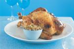 Turkish Classic Roast Turkey With Festive Stuffing Recipe BBQ Grill