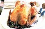 Turkish Traditional Roast Turkey With Gravy And Cranberry Sauce Recipe Dinner