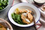 Turkish Spiced Turkey Fritters With Hummus Yoghurt Recipe Appetizer