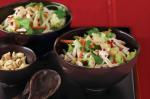 Vietnamese Vietnamese Chicken Salad Recipe 6 Appetizer