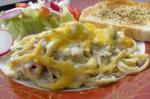 Turkish Delicious Chicken or Turkey Tetrazzini Dinner