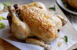 British Pancetta Mushroom and Leek Stuffed Chickens Recipe Dinner