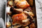 British Roast Chicken With Prune And Walnut Stuffing Recipe Dinner
