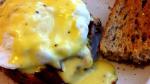 French Hollandaise Sauce Recipe Other