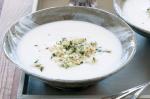 American Cauliflower Soup With Brioche Crumbs Recipe Appetizer
