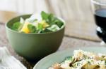 American Watercress Fennel and Orange Salad Recipe Appetizer