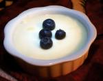 American Homemade Vanilla Pudding 2 Dessert