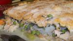 Turkish Family Circles Lean Chickenturkey Pot Pie Appetizer