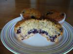 American Oatmeal Blueberry Muffins 4 Dessert