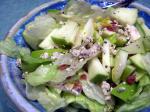 American Mixed Apple Salad over Greens Appetizer