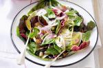 American Radicchio Fennel And Borlotti Bean Salad Recipe Appetizer
