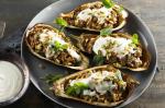 American Middle Eastern Spiced Beef Stuffed Eggplants Recipe Appetizer