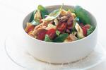 American Chilli Tuna And Borlotti Bean Salad Recipe Dinner