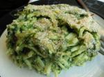 American Spinach Noodle Pudding Dinner