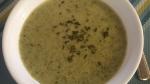 French Creamy Broccoli Soup Recipe Appetizer