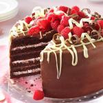 American Very Chocolate Torte with Raspberry Cream Dessert