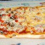 American Homemade Pizza Different Appetizer