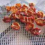 American Dried Tomatoes from the Drying Oven Appetizer