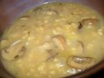 American Chunky Mushroom Barley Soup Appetizer