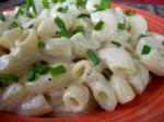American Macaroni With Fontina and Gorgonzola Cheeses Dinner