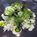 Canadian Hervey Bay Scallops Cucumber Yoghurt Avocado Ink Cracker Appetizer