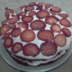 American Chocolate Strawberry Shortcake Recipe Dessert