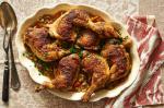 American Cal Peternells Braised Chicken Legs Recipe Appetizer