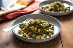 American Freekeh Chickpea and Herb Salad Recipe Appetizer