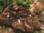 American Countryfried Steak With Mushroom Gravy Dinner