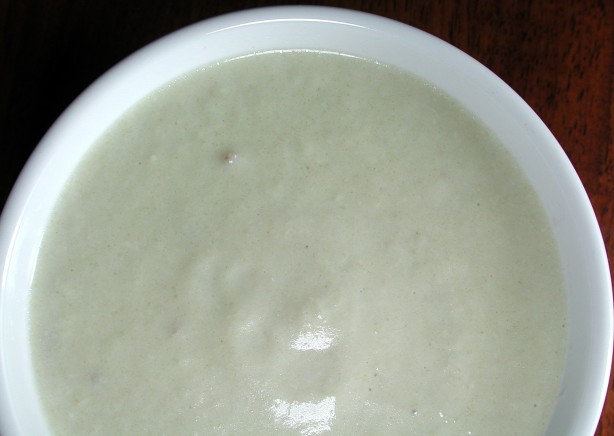 American Cream of Celery Soup 15 Appetizer