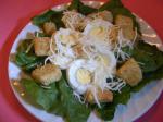 American Crunchy Romaine Salad With Eggs and Croutons Appetizer