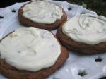 American Gingersnaps With White Chocolate Chips Dessert