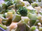 American Creamy Broccoli and Cheese Appetizer