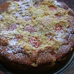 American Vienna Apricot Cake Dessert