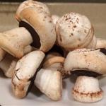 American Meringue Mushrooms 4 Dessert