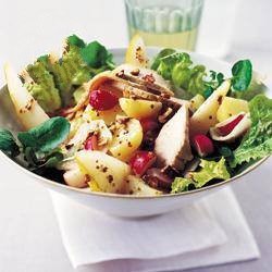 American Pigs Salad with Pear and Pecan Nuts Appetizer