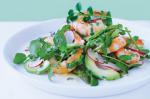 American Chargrilled Prawn And Watercress Salad Recipe Appetizer