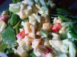 American Betterforyou Egg Salad Appetizer