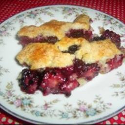 Canadian Blackberry Cobbler 12 Dessert