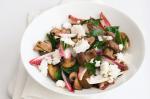 American Warm Mushroom Salad With Ricotta And Witlof Recipe Appetizer