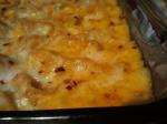 American Butternut Squash Macaroni and Cheese Appetizer