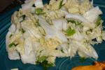 Mexican Cabbage Salad  Mexican Coleslaw Appetizer