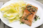 Ocean Trout With Celery Witlof And Apple Salad And Anchovy Dressing Recipe recipe