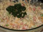 American Kittencals Seafood Pasta Salad Dinner