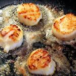 American Truffle and Vanilla Infused Scallops  Chef Recipe by Shawn Sheather Appetizer