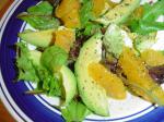 American Avocadoorange Salad 1 Appetizer