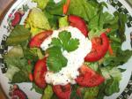 American Carrabbas House Salad Dressing creamy Parmesan by Todd Wilbur Appetizer