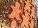 American Homemade Dog Biscuits 4 Appetizer