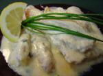 Italian Cod With Mustard Cream Sauce Dinner